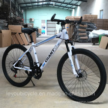 High Quality Chinese Carbon Road Bike/Bicycle/Chopper Bike